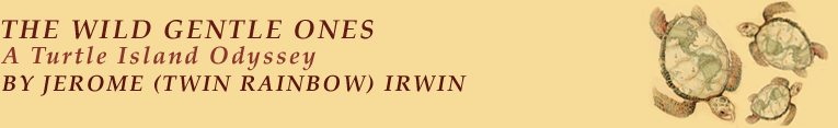 jerome irwin, twin rainbow irwin